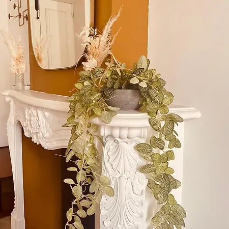 De Maitre T3 80m2 En Plein Centre. Lägenhet *