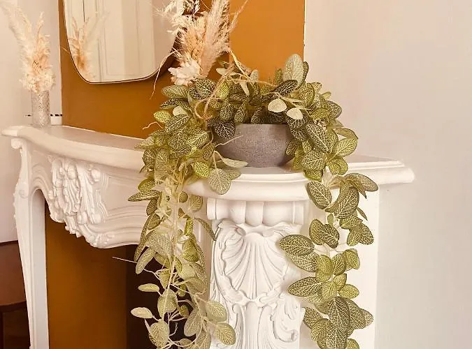 De Maitre T3 80m2 En Plein Centre. Апартаменты *